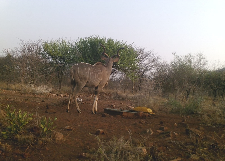 3 Bedroom Property for Sale in Groblersdal Rural Limpopo