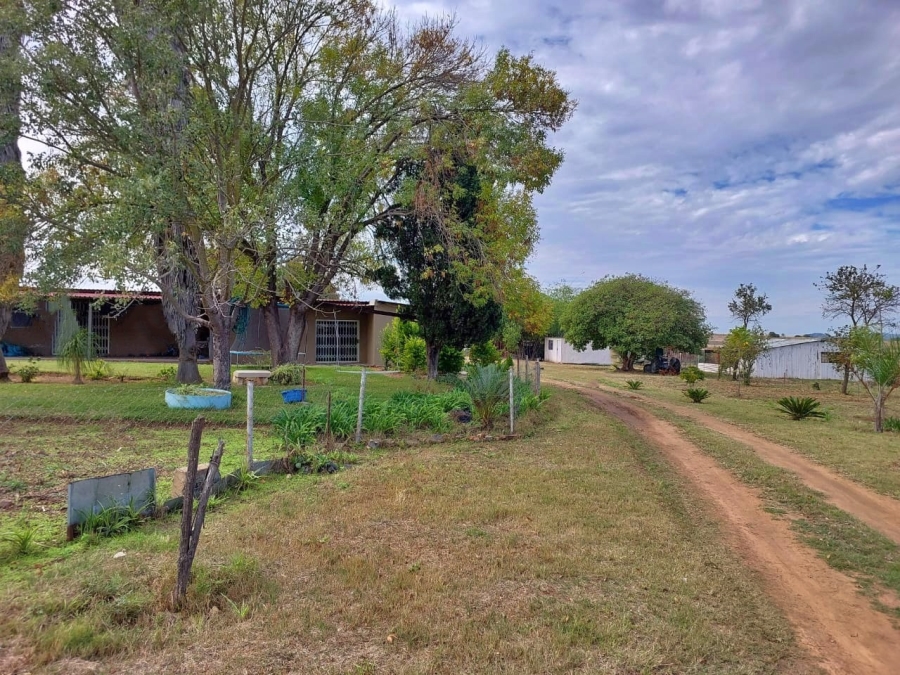 5 Bedroom Property for Sale in Polokwane Rural Limpopo