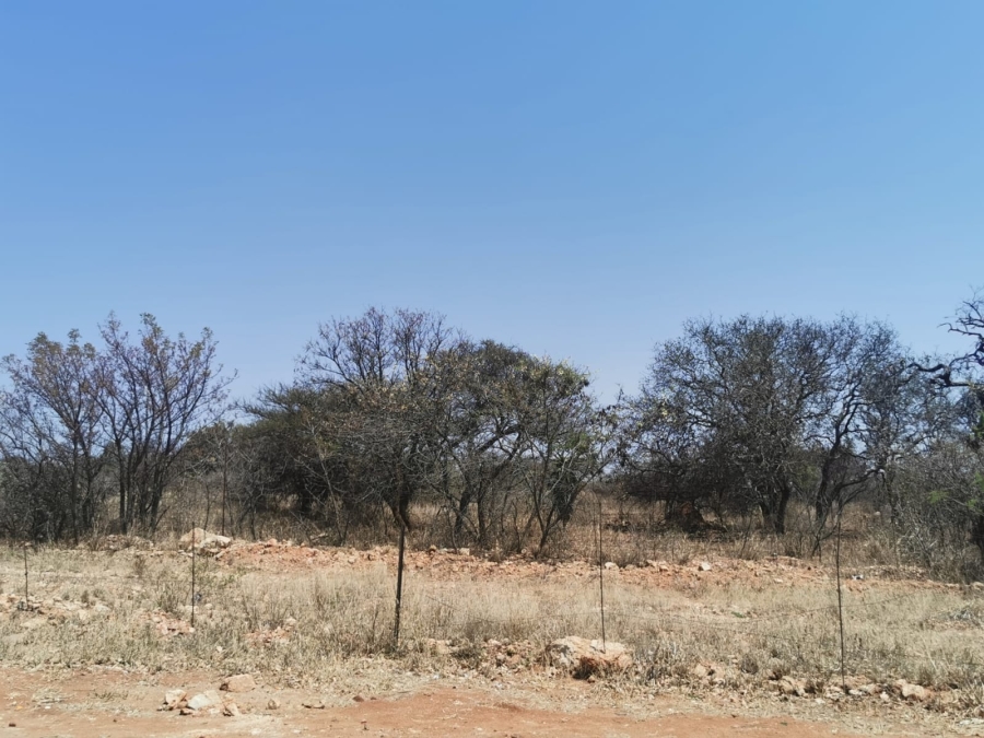 0 Bedroom Property for Sale in Bendor Limpopo