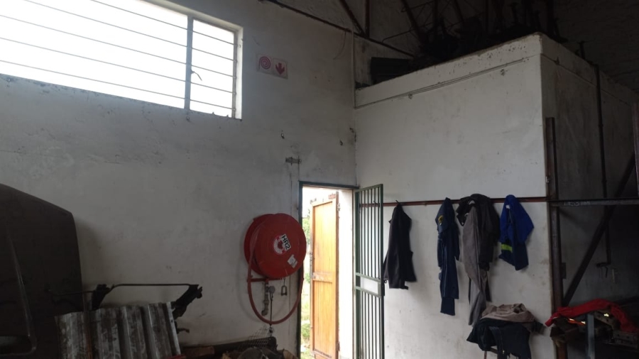 To Let commercial Property for Rent in Ladine Limpopo