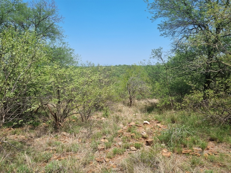 0 Bedroom Property for Sale in Elephant Rock Eco Estate Limpopo