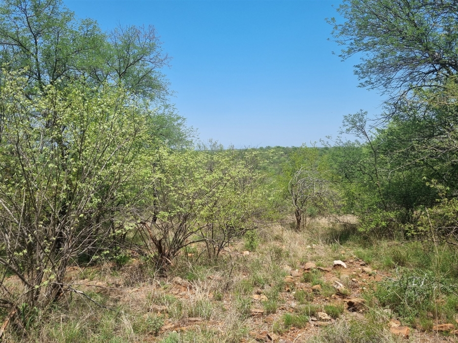 0 Bedroom Property for Sale in Elephant Rock Eco Estate Limpopo