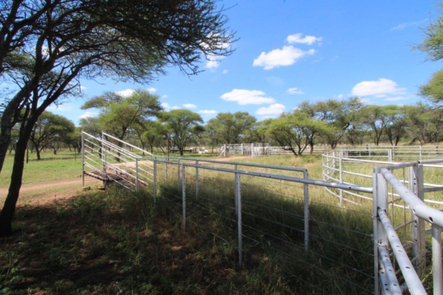 4 Bedroom Property for Sale in Roedtan Limpopo