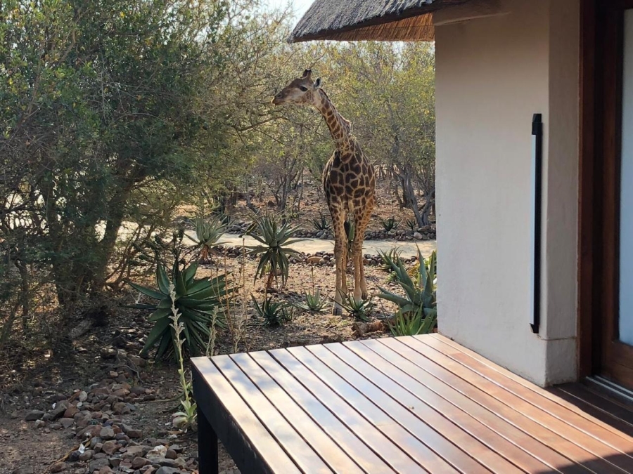 5 Bedroom Property for Sale in Blyde Wildlife Estate Limpopo