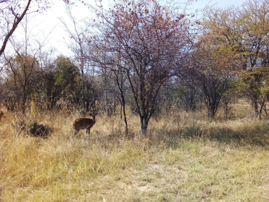 0 Bedroom Property for Sale in Koro Creek Golf Estate Limpopo