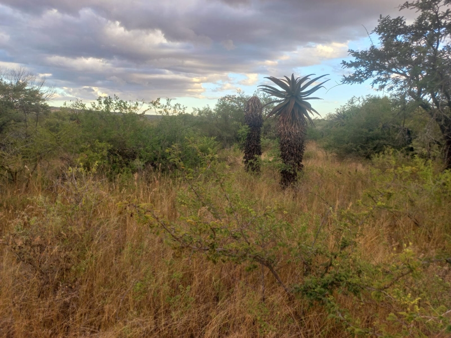 10 Bedroom Property for Sale in Elmadal AH Limpopo