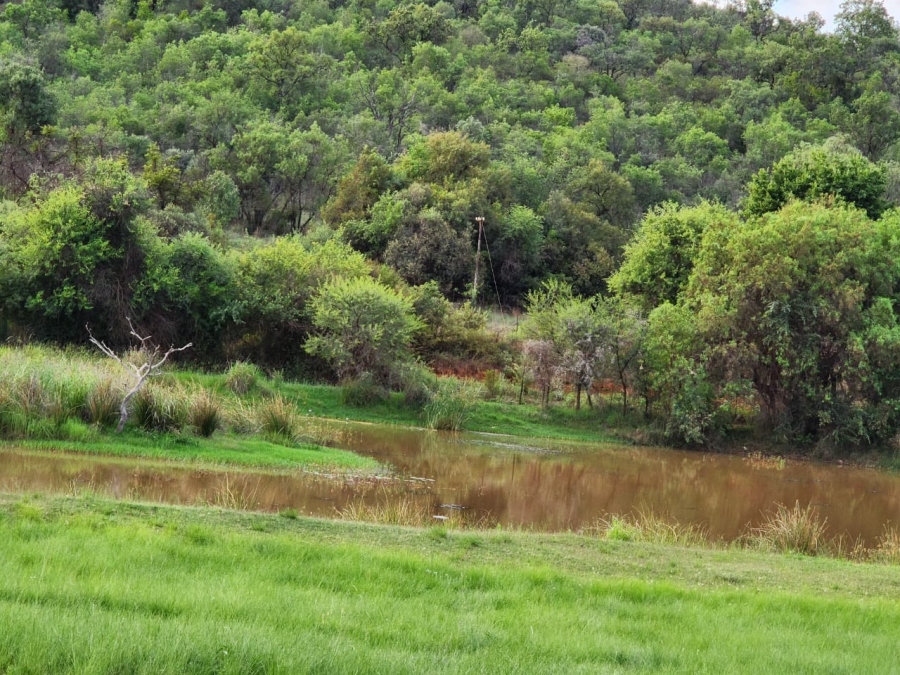 0 Bedroom Property for Sale in Bela Bela Limpopo
