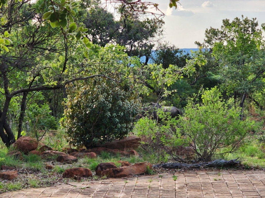 0 Bedroom Property for Sale in Bela Bela Limpopo