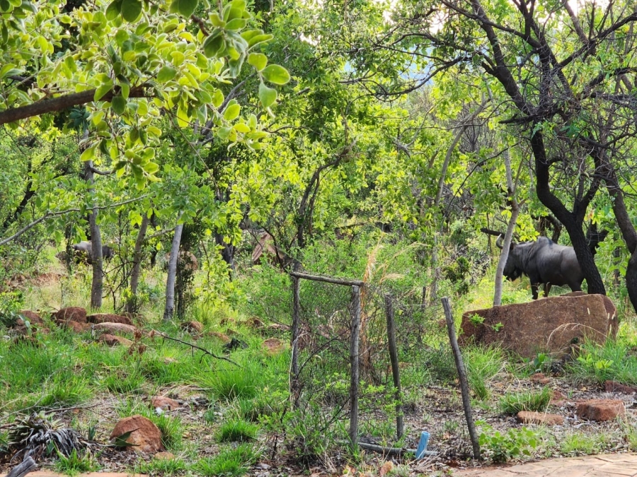 0 Bedroom Property for Sale in Bela Bela Limpopo