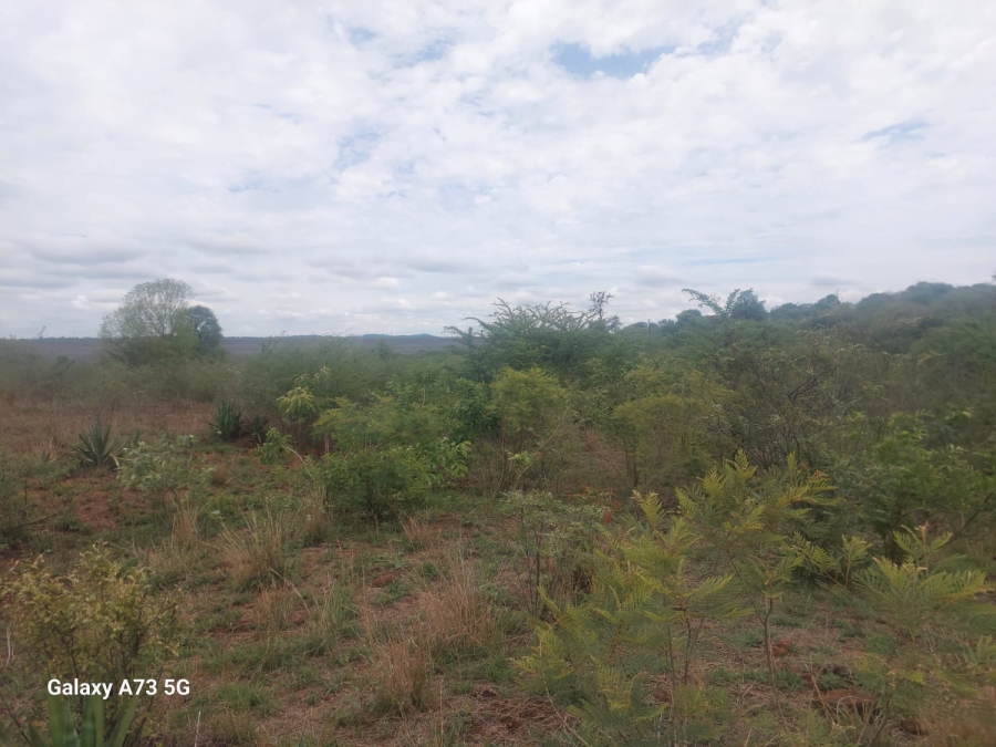 Commercial Property for Sale in Mutoti Limpopo