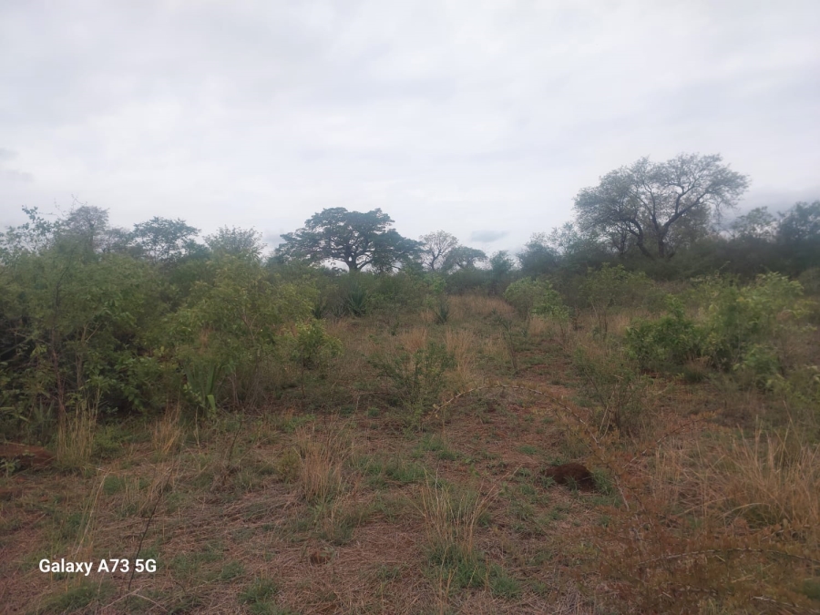 Commercial Property for Sale in Mutoti Limpopo