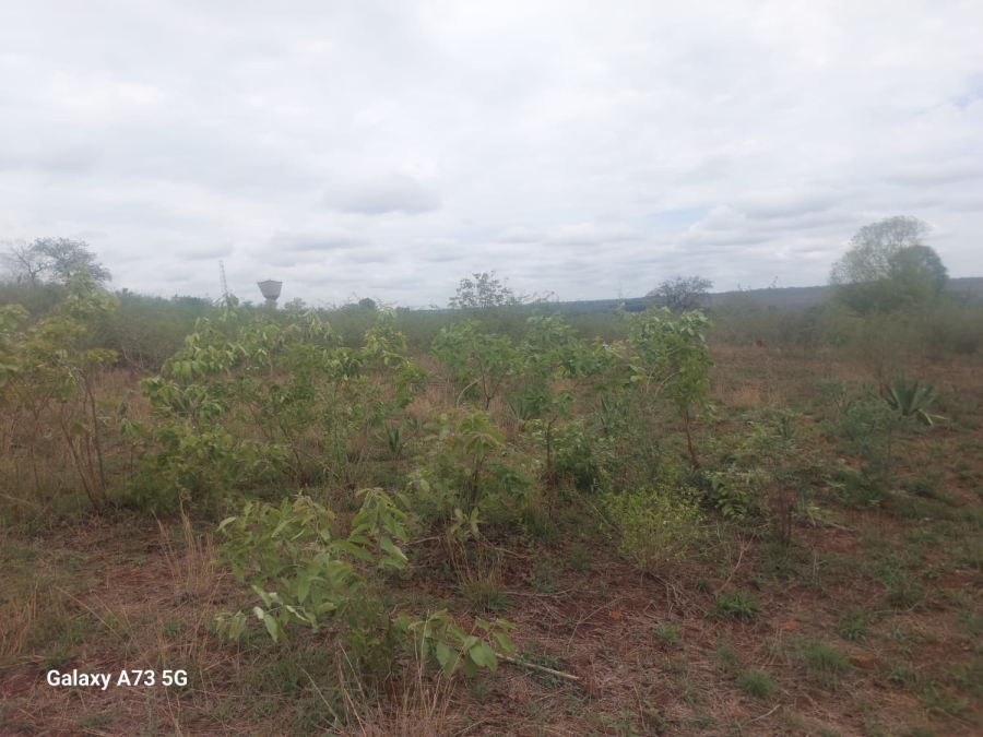 Commercial Property for Sale in Mutoti Limpopo