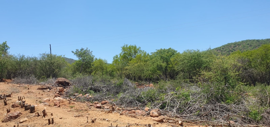 0 Bedroom Property for Sale in Groblersdal Limpopo