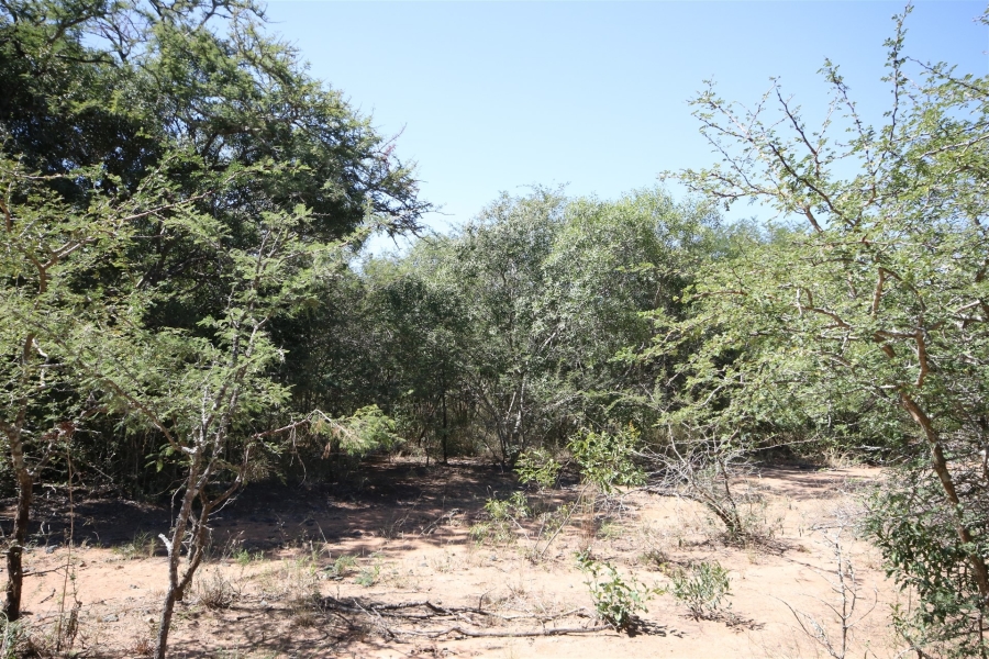 0 Bedroom Property for Sale in Moditlo Wildlife Estate Limpopo