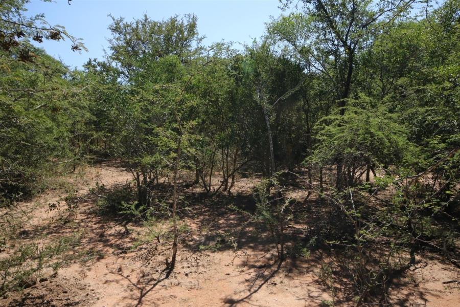 0 Bedroom Property for Sale in Moditlo Wildlife Estate Limpopo