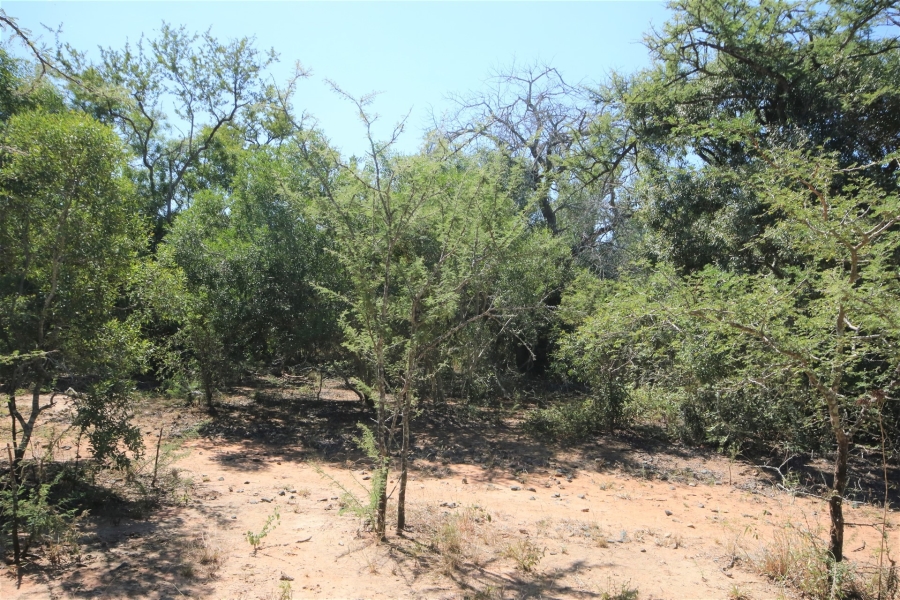 0 Bedroom Property for Sale in Moditlo Wildlife Estate Limpopo