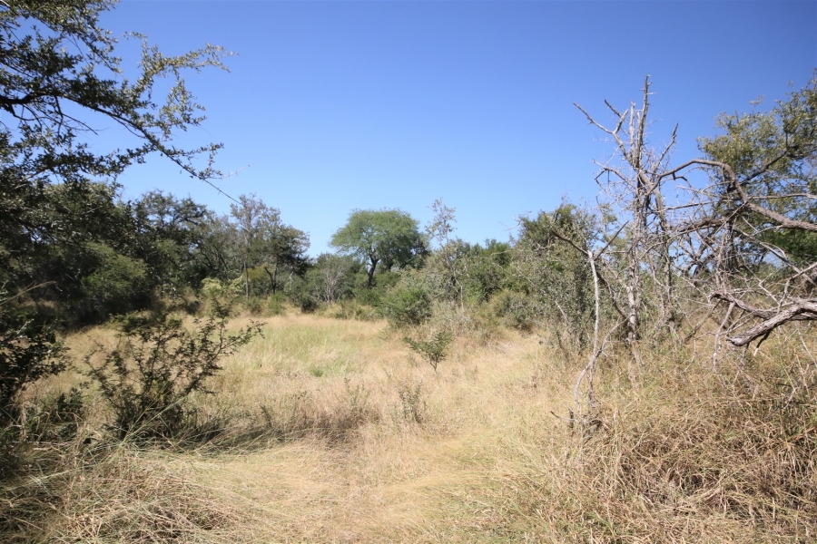 0 Bedroom Property for Sale in Moditlo Wildlife Estate Limpopo