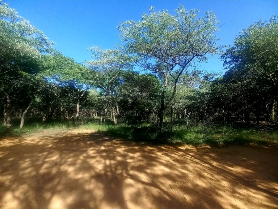 21 Bedroom Property for Sale in Bela Bela Limpopo