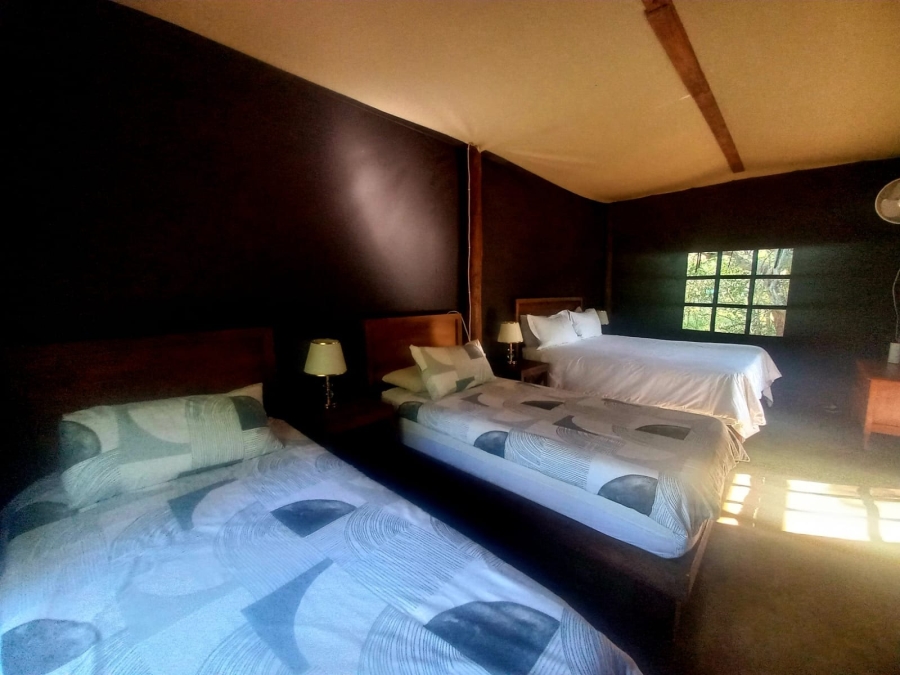 21 Bedroom Property for Sale in Bela Bela Limpopo