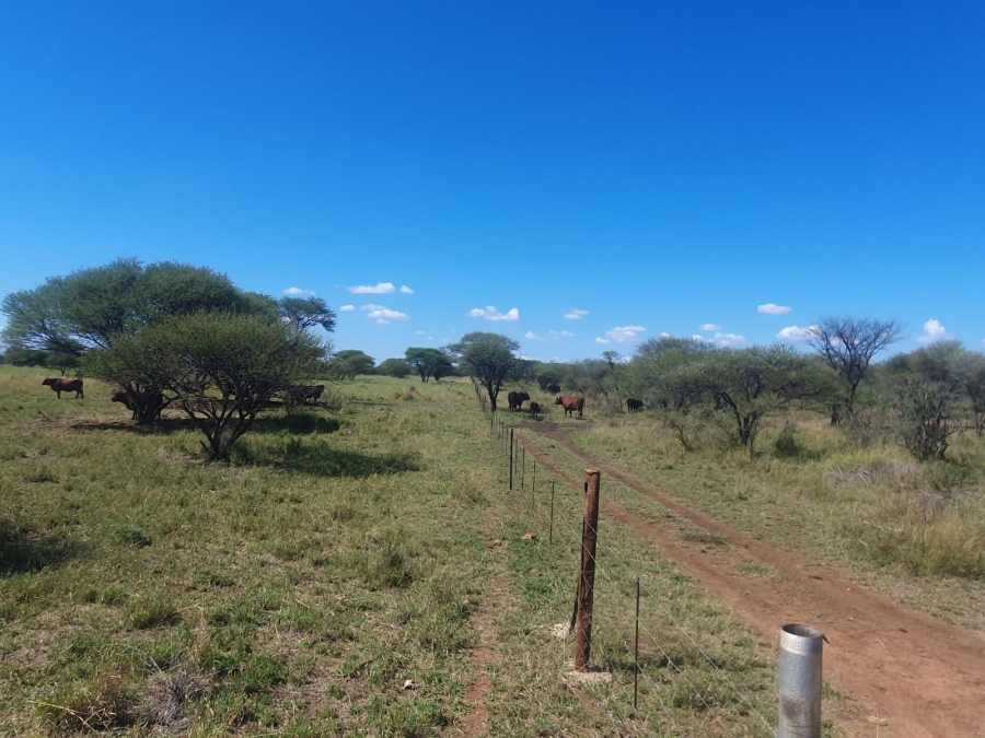 5 Bedroom Property for Sale in Roedtan Limpopo