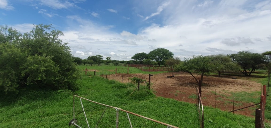 5 Bedroom Property for Sale in Roedtan Limpopo