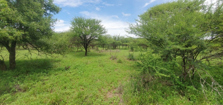 5 Bedroom Property for Sale in Roedtan Limpopo