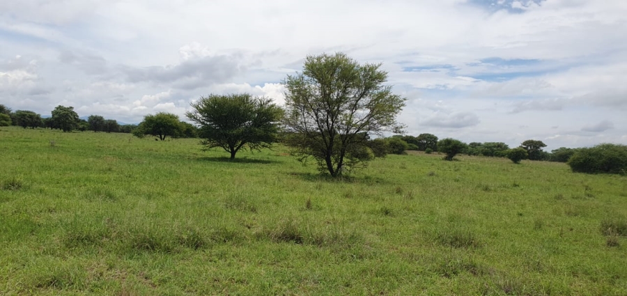 5 Bedroom Property for Sale in Roedtan Limpopo