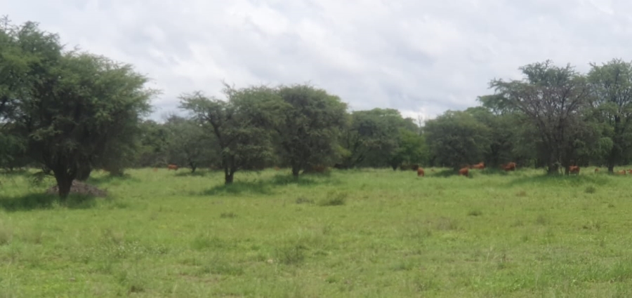 5 Bedroom Property for Sale in Roedtan Limpopo