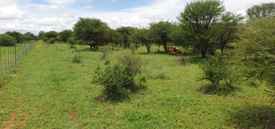 5 Bedroom Property for Sale in Roedtan Limpopo