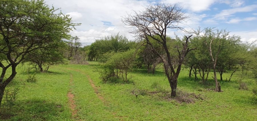 5 Bedroom Property for Sale in Roedtan Limpopo