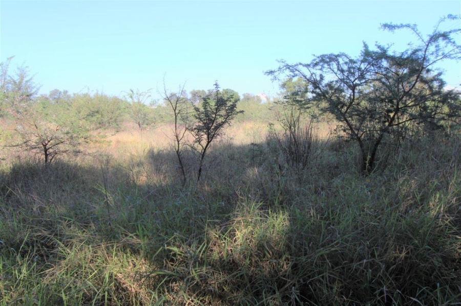 Commercial Property for Sale in Modimolle Limpopo