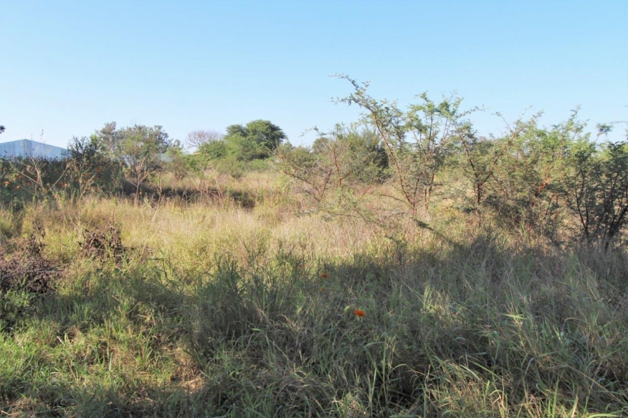 Commercial Property for Sale in Modimolle Limpopo