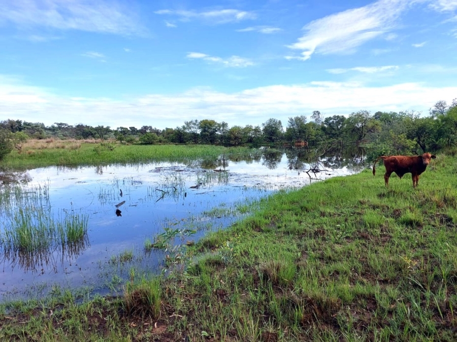 3 Bedroom Property for Sale in Modimolle Limpopo