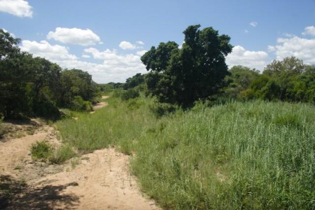 Commercial Property for Sale in Hoedspruit Limpopo