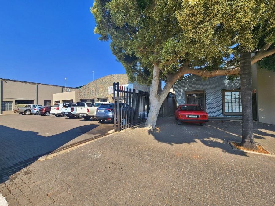 To Let commercial Property for Rent in Polokwane Central Limpopo