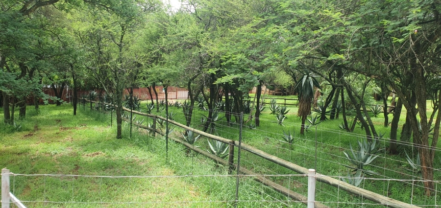 2 Bedroom Property for Sale in Groblersdal Limpopo