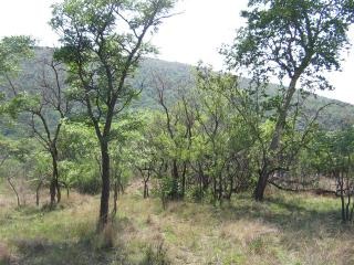 0 Bedroom Property for Sale in Modimolle Limpopo