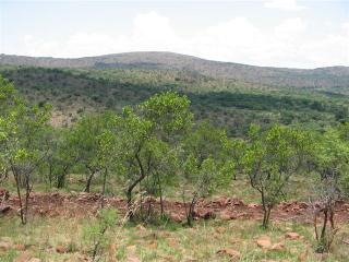 0 Bedroom Property for Sale in Modimolle Limpopo