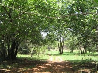 0 Bedroom Property for Sale in Modimolle Limpopo