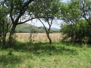 0 Bedroom Property for Sale in Modimolle Limpopo