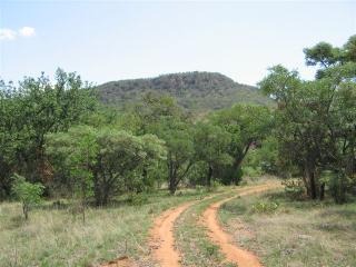 0 Bedroom Property for Sale in Modimolle Limpopo