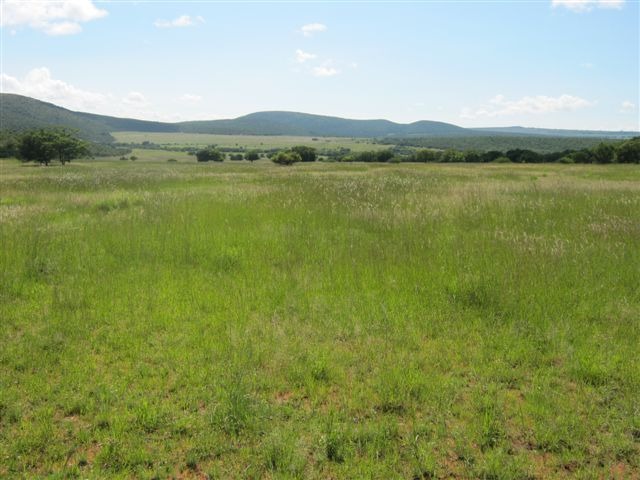 0 Bedroom Property for Sale in Modimolle Limpopo