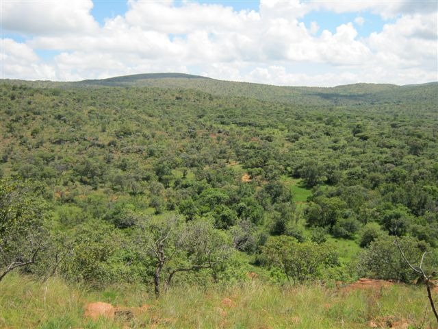 0 Bedroom Property for Sale in Modimolle Limpopo