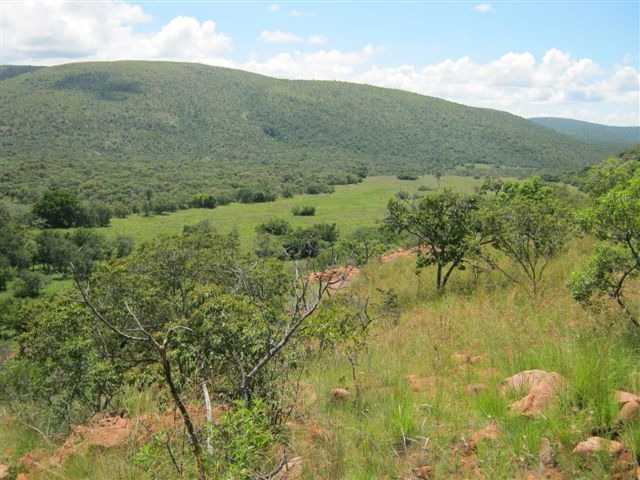 0 Bedroom Property for Sale in Modimolle Limpopo