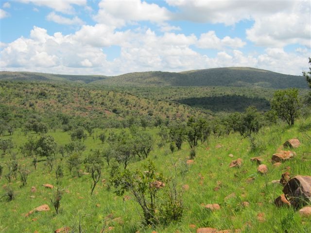 0 Bedroom Property for Sale in Modimolle Limpopo