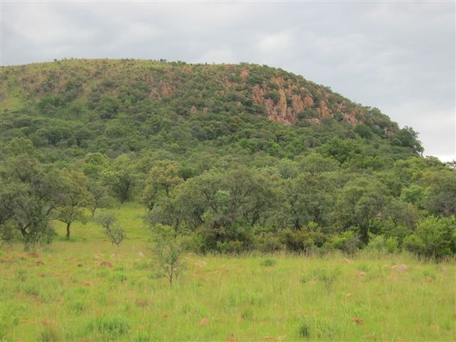 0 Bedroom Property for Sale in Modimolle Limpopo