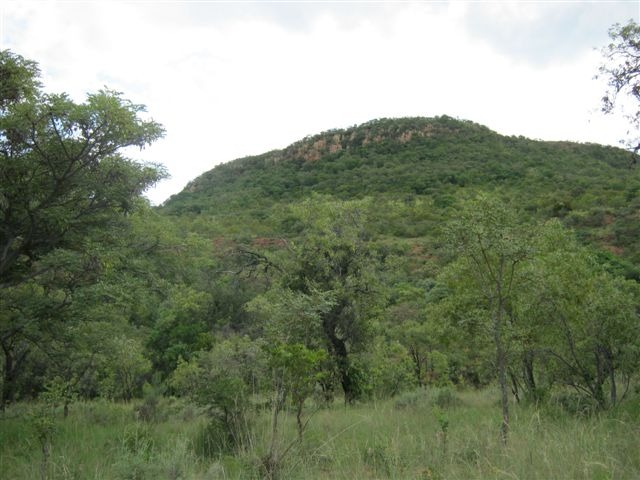 0 Bedroom Property for Sale in Modimolle Limpopo