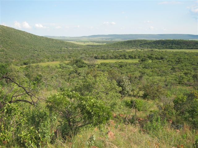 0 Bedroom Property for Sale in Modimolle Limpopo