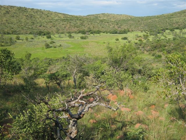 0 Bedroom Property for Sale in Modimolle Limpopo