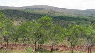 0 Bedroom Property for Sale in Modimolle Limpopo